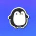 My Portfolio icon
